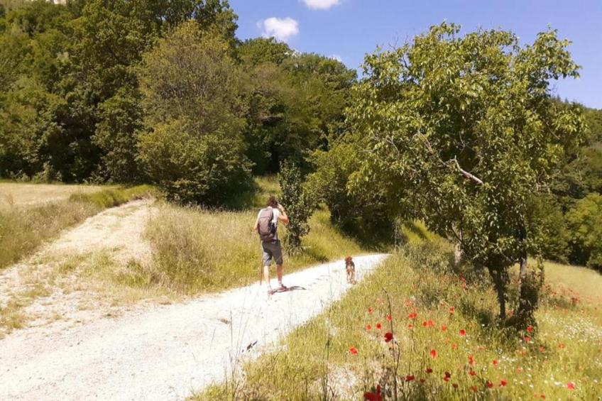 Villa Valtopina - foto 28