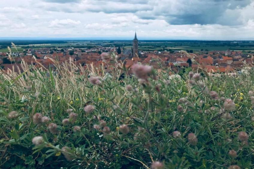 Magnifique Appartement Alsacien - foto 38