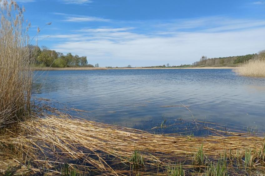 am See in Blankensee-Groß Schönfeld - foto 16