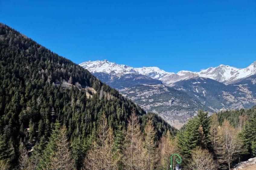 LA TURRA N°301 - 3P6 - foto 26