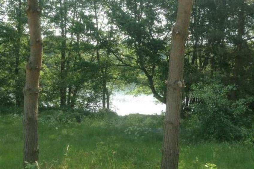 Bungalow Mecklenburgische Seenplatte - foto 4