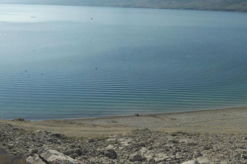 mit Blick auf das Wasser - foto 23