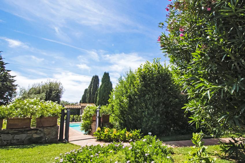 Villa il Pellicano - foto 30