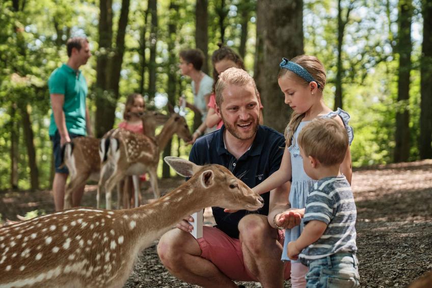 Maison de vacances dans le Center Parcs Park Allgäu - BF-24JDN - foto 30