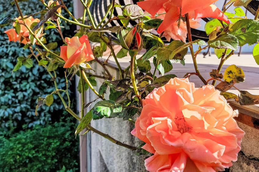 Urlaub im Süden zwischen Meer und Bergen - foto 29