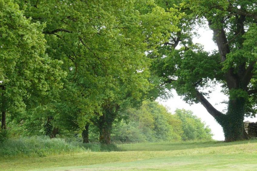 La Campagne - foto 38