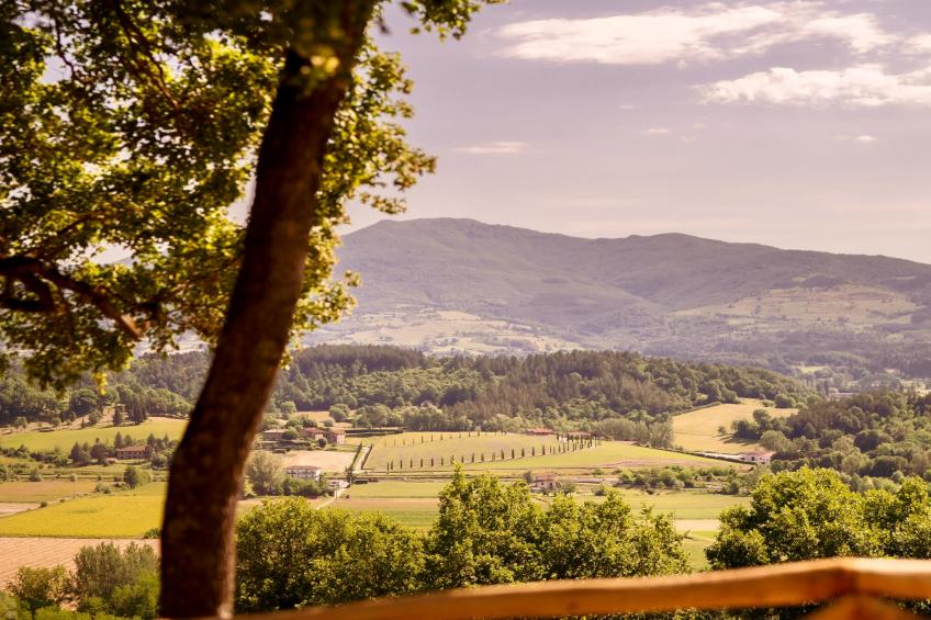 Agriturismo Tenuta Seriole - foto 40