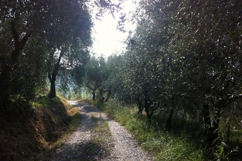 CASA SISSI, Sehnsuchtsort zwischen Olivenhainen - foto 19