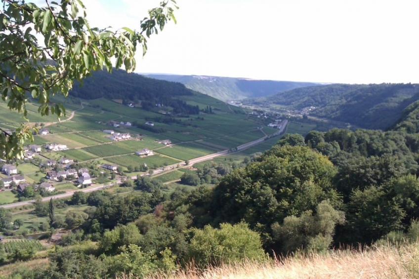 205142 - foto 25