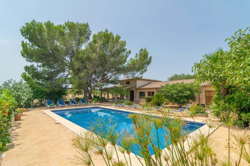 Can Ribas - foto 44