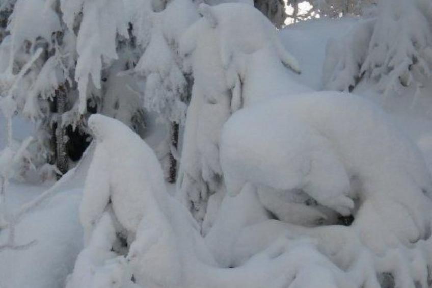in Haschaberg mit Sonniger Terrasse - foto 48