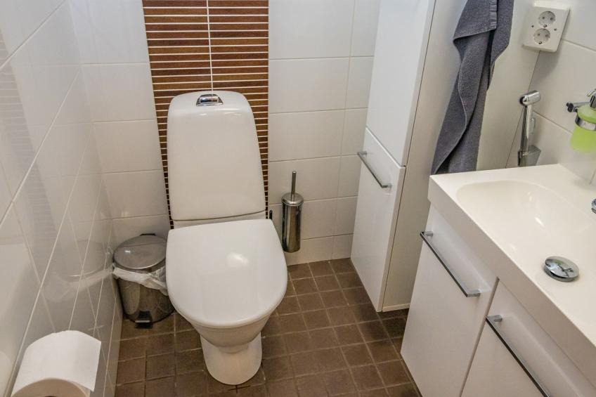 Villa wilhelmiina - foto 10