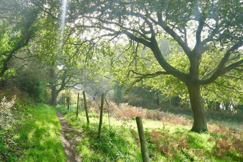 Gîte de Kerberso in Pléhédel - foto 33