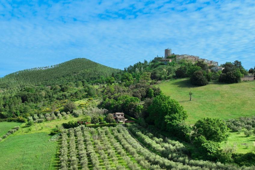 Anwesen "Toskanische Villa" mit privatem Pool - foto 11