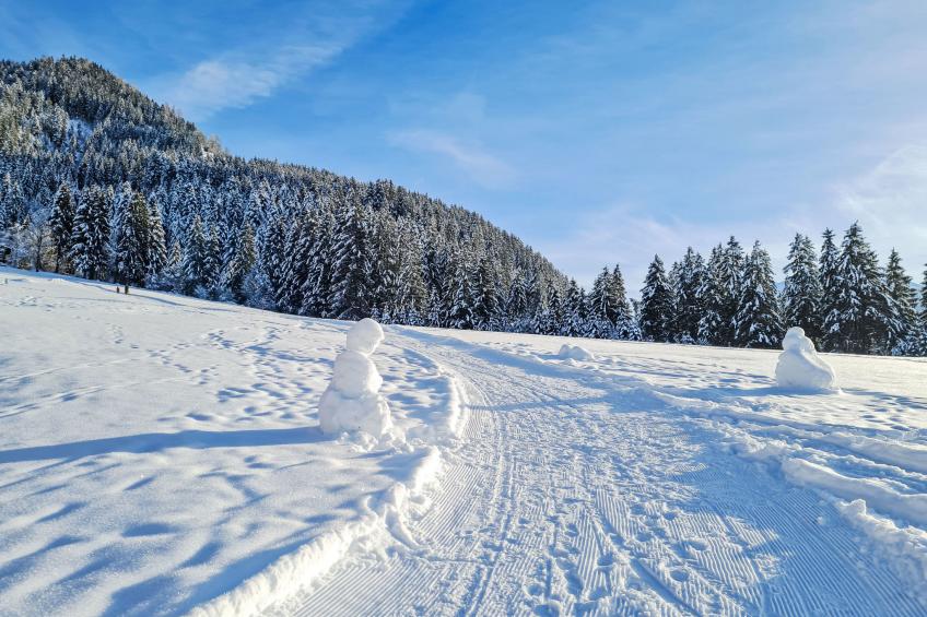 Alpine Qualitytime - foto 68