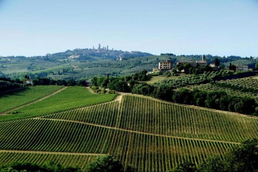 Villa Petra Sei - foto 40