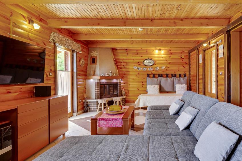 Mala vila Rebeka -großer SwimmingPool - foto 47