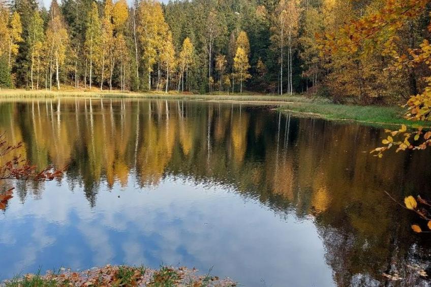 in natürlicher Umgebung - foto 39