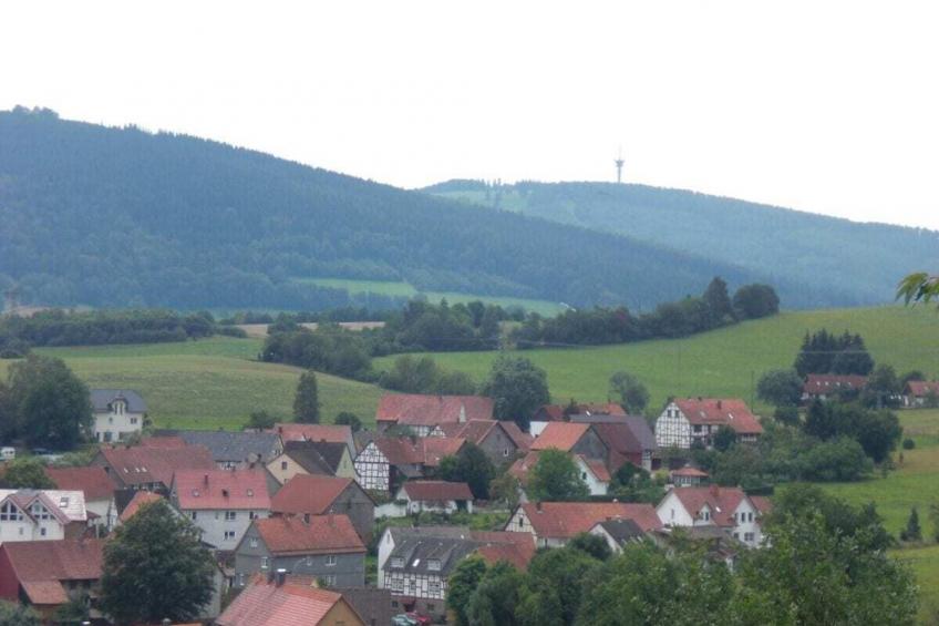 151619 - foto 21