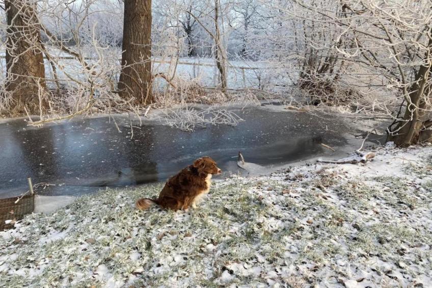 Ballenstedt - foto 36