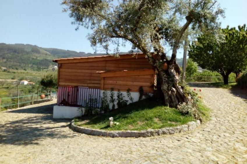 Fabelhafter Pool in einer atemberaubenden Landschaft - foto 38