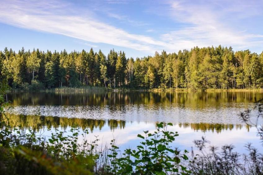Typisch schwedisches Ferienhaus mit Garten - foto 33