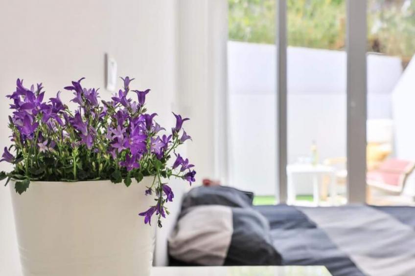 Alfamar Inês Apartment - foto 19