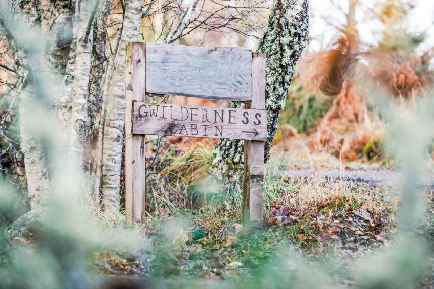 G-Wilderness Cabin - foto 27
