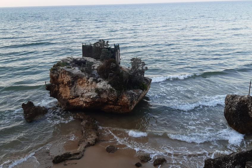 Zwei-Zimmer-Penthouse-Wohnung mit Terrasse mit Meerblick - foto 30