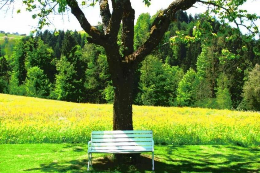 Verschlafen... in sanfte Hügel eingebettet. - foto 26