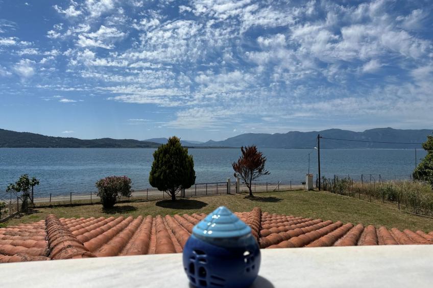 Tanjas Paradise - foto 7