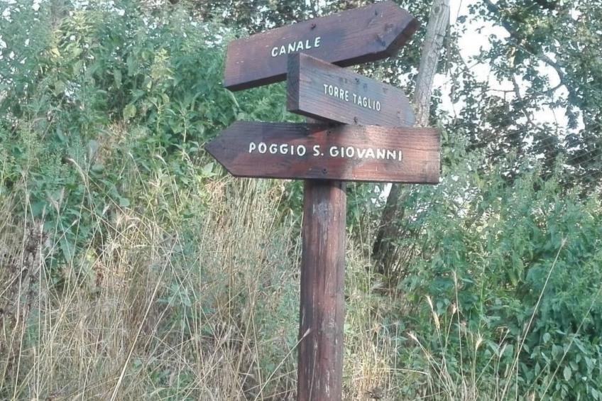 Unabhängige Wohnung, mitten im Grünen des Berges und des Sees, 80 km von Ost-Ro - foto 51