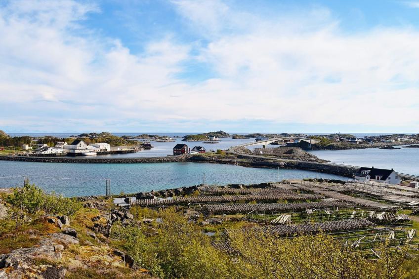 53511 - foto 18