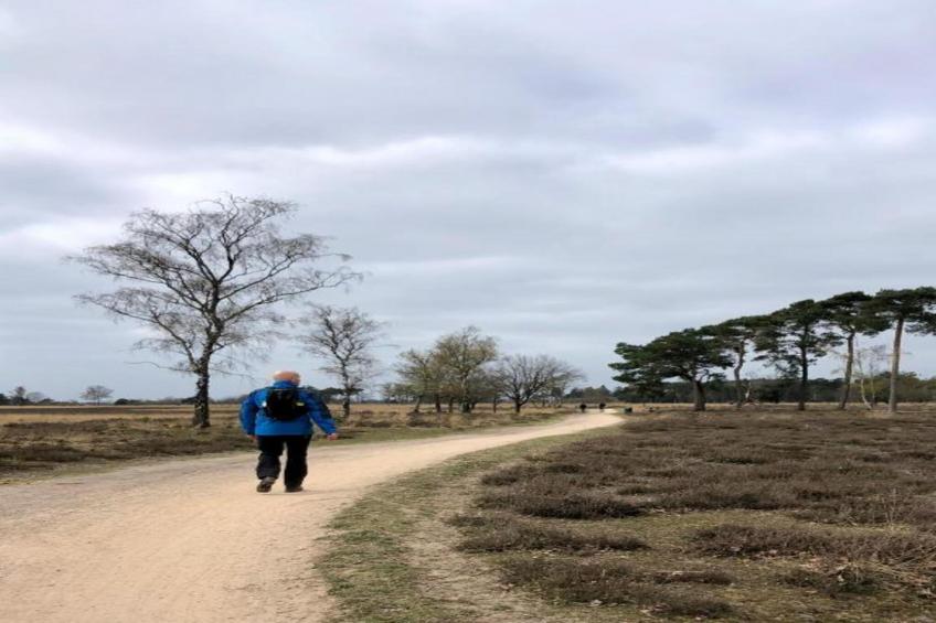 Bospark 't Wolfsven 19 - foto 34