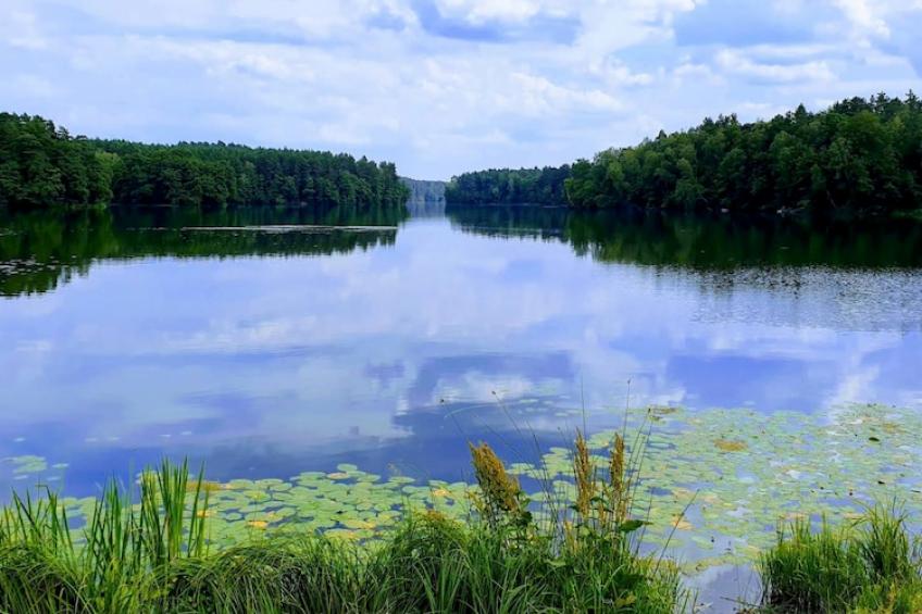 Holiday home in Krzynia - foto 27