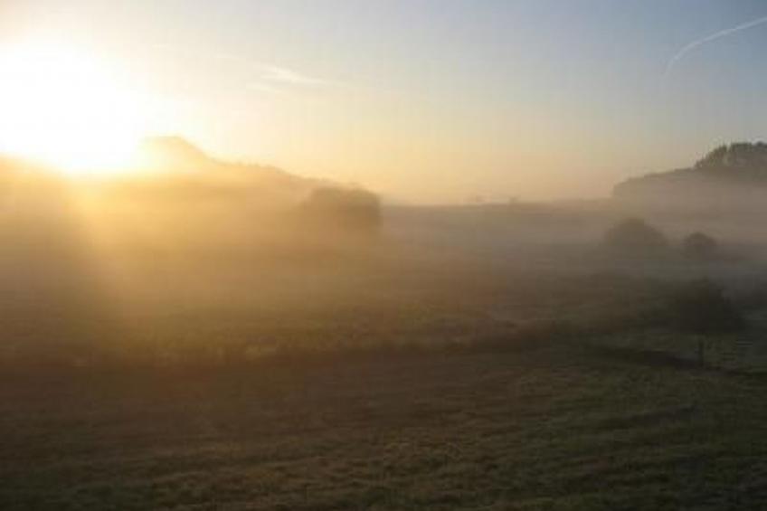 Haus-Zauberblau - foto 23