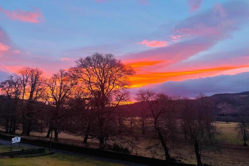 The Bakers Hut - foto 16