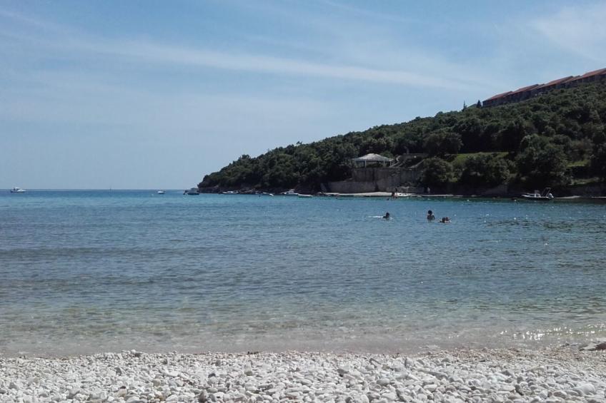 in Pavićini mit Grill, Terrasse und Garten - foto 14