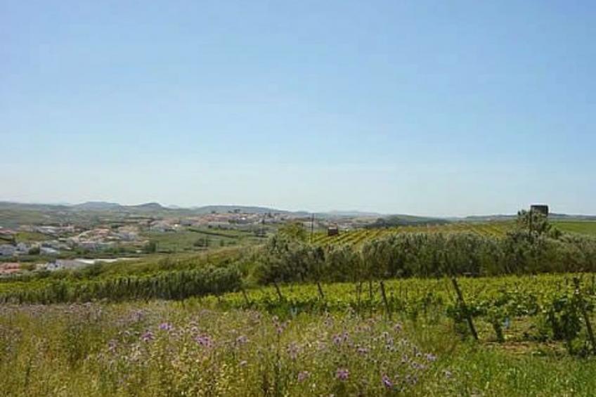 "Casa Bela Vista" - foto 28