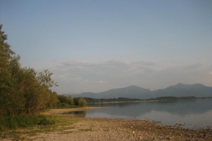 Forsthaus Chiemsee - foto 21