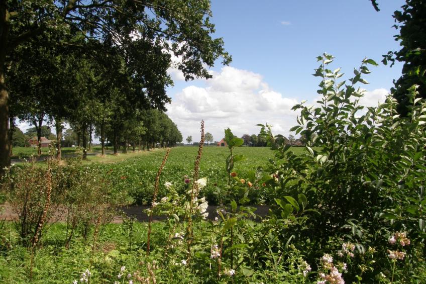 Urlaub wie früher auf einem Bauernhof mit dem Komfort von heute. - foto 36