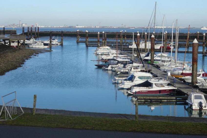 Schoneveld 146 Zeemeeuw Breskens - foto 34