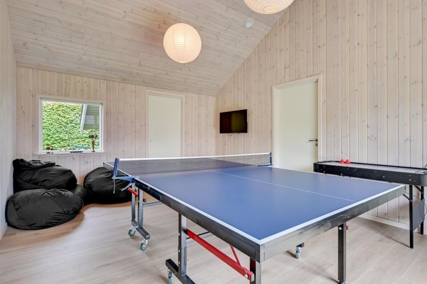 "Regni" - 300m to the inlet in The Liim Fiord - foto 29