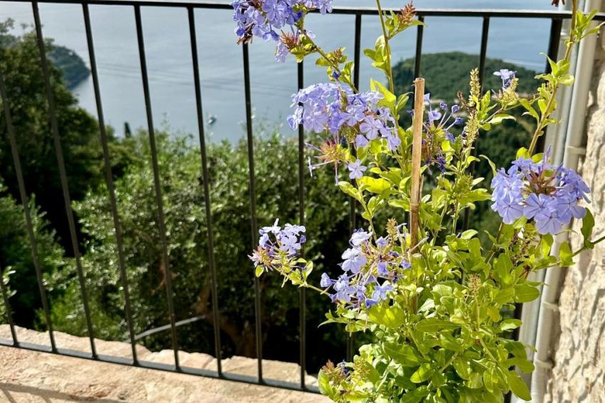 Prächtige Villa in spektakulärer Lage - foto 12