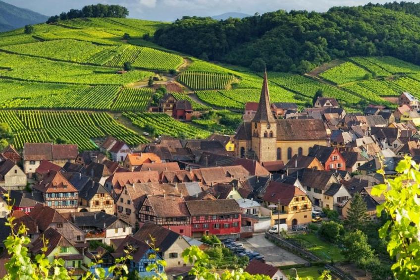 Wohnung "Terre d'Hélène" und Garten - foto 36