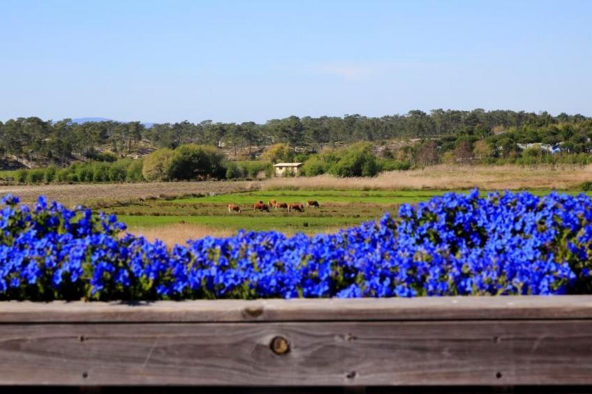 Exklusive Design-Villa in den Dünen, Pool auf dem Dach - foto 21