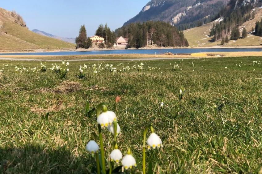 im Dorf Urnäsch - foto 25