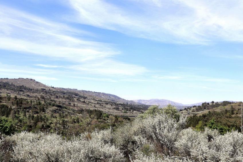 Haus in Vila Soeiro Do Chão mit privatem Parkplatz - foto 2