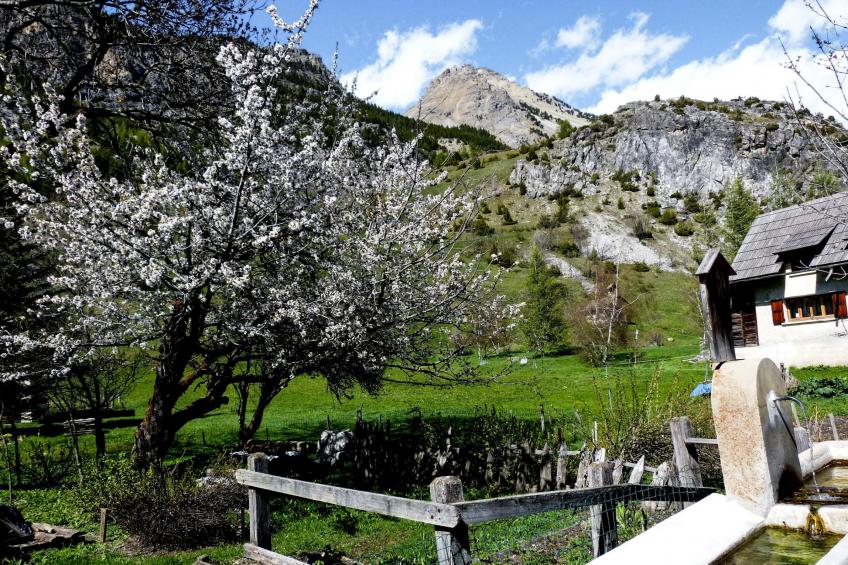 Baita La Ciaburna (skiing nearby) - foto 21