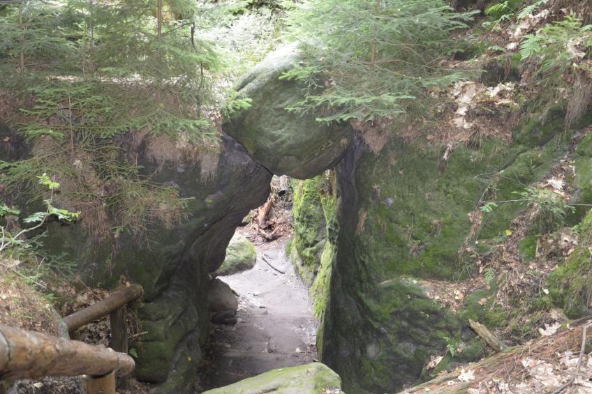 Panoramablick in Königstein - foto 20